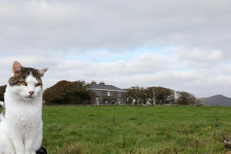 Ballintaggart House Hotel Dingle Buitenkant foto