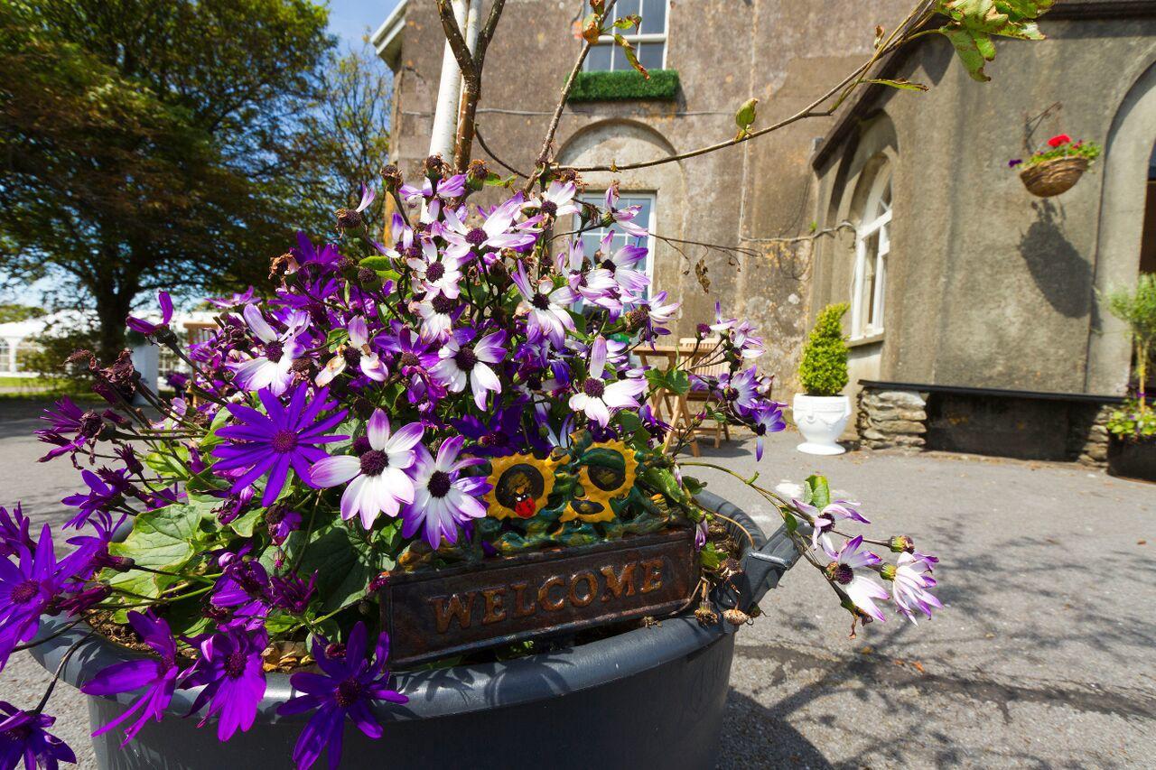 Ballintaggart House Hotel Dingle Buitenkant foto